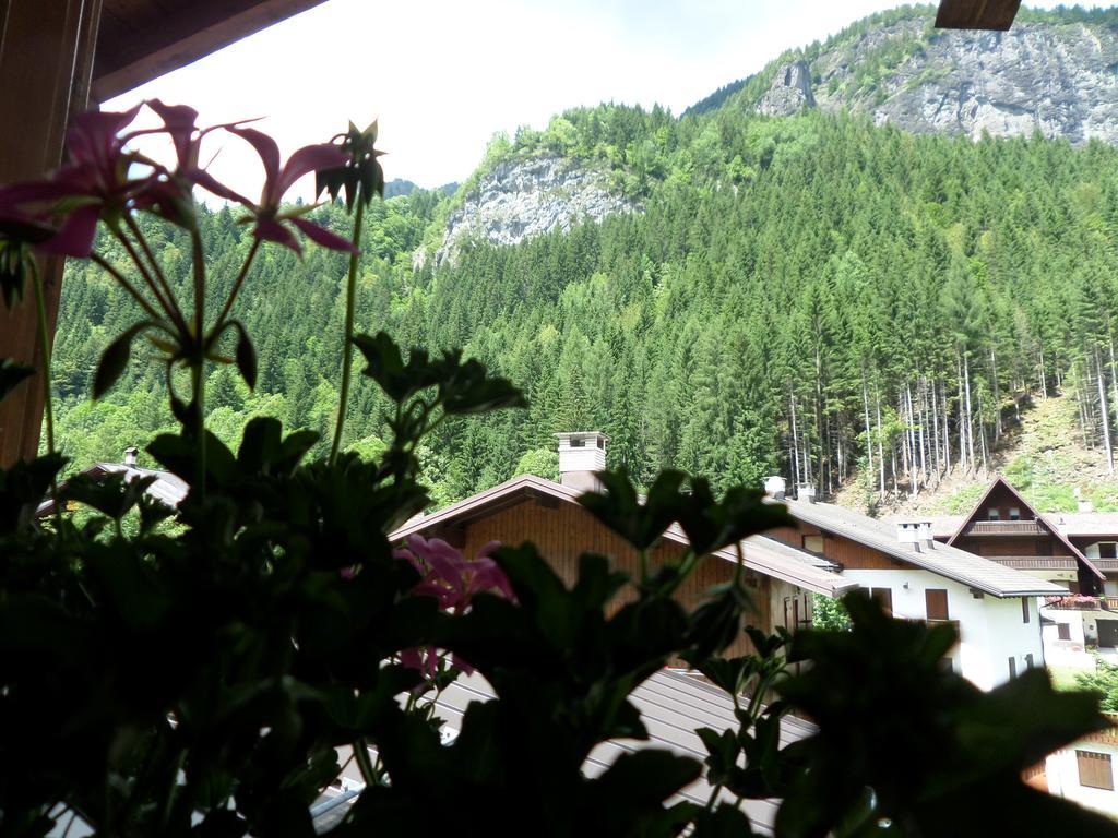 Affittacamere Pizzeria Marmolada Rocca Pietore Exterior photo